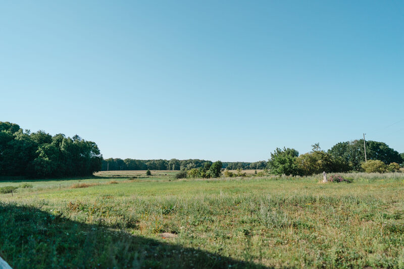 Weite Wiesenlandschaft unter blauem Himmel